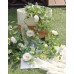 2Pack 13ft Artificial Eucalyptus Flower Garland with Fake Silk Rose Flower Vine Eucalyptus Leaves Greenery Garland for Wedding Arch Table Decor (Champagne)