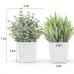 2 Packs Small Fake Plants Mini Artificial Potted Plants for Table Desk Home Bathroom Office Decor