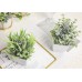 2 Packs Small Fake Plants Mini Artificial Potted Plants for Table Desk Home Bathroom Office Decor