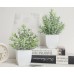 2 Packs Mini Fake Plants Small Artificial Plants for Bathroom Farmhouse Office Home Decor Indoor