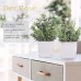 4 Packs Small Fake Plants Artificial Greenery Potted Plants for Bathroom Farmhouse Kitchen Decor
