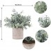 3 Pack Mini Potted Fake Plants Artificial Plastic Eucalyptus Plants for Home Office Desk Room Decoration
