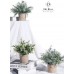 3 Pack Mini Potted Fake Plants Artificial Faux Eucalyptus Plants for Home Office Desk Room Decoration