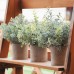 3 Pack Mini Potted Fake Plants Artificial Faux Eucalyptus Plants for Home Office Desk Room Decoration