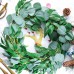 Der Rose 3pcs 6.5 Feet Artificial Silver Dollar Eucalyptus Leaves Garland with Willow Vines Twigs Leaves String for Greenery Garland Table Runner Garland Indoor Outdoor.