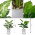 2 Pack Fake Plants Artificial Potted Faux Plants for Office Desk Home Farmhouse Decor