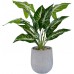 18" Small Fake Plants Artificial Potted Greenery Plant for Office Desk Home Bathroom Decor