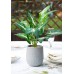 18" Small Fake Plants Artificial Potted Greenery Plant for Office Desk Home Bathroom Decor
