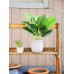 18" Small Fake Plants Artificial Mini Potted Faux Plants for Office Desk Home Bathroom Decor
