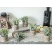 Der Rose 6pcs Small Fake Plants Artificial Potted Plants for Home Office Farmhouse Bathroom Bedroom Decor
