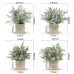 Der Rose 4 Packs Cute Fake Plants Mini Artificial Plants for Living Room Office Desk Decor