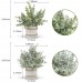Der Rose 4 Packs Small Fake Plants Artificial Greenery Potted Plants for Home Décor Indoor