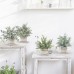 Der Rose 4 Packs Small Fake Plants Indoor Mini Artificial Plants for Home Office Farmhouse Bathroom Bedroom Kitchen Desk Decor